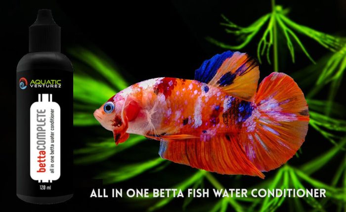 279936250_1432537877162547_7212807918759667098_n